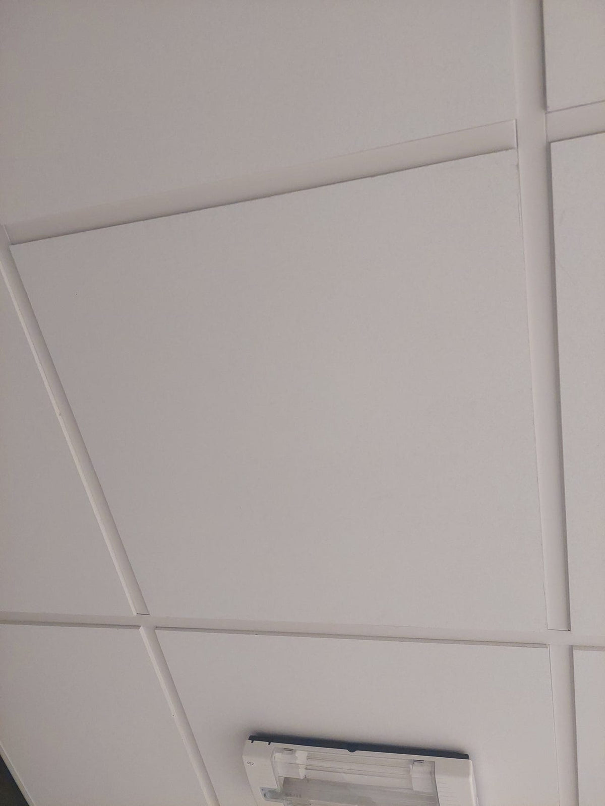 Himlingsplater hvite 50x50 cm – stort parti
