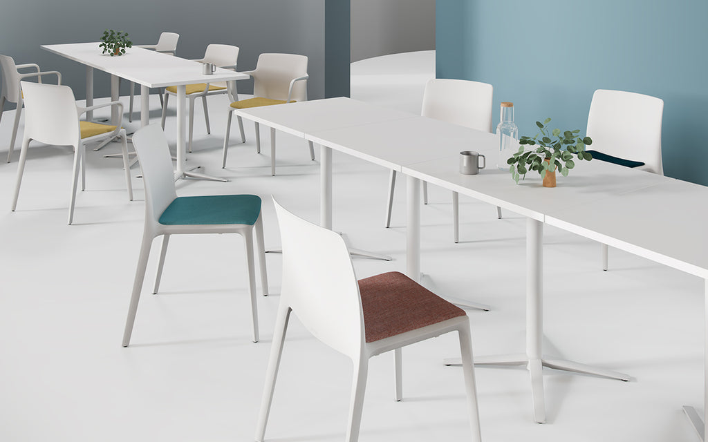 Fluit